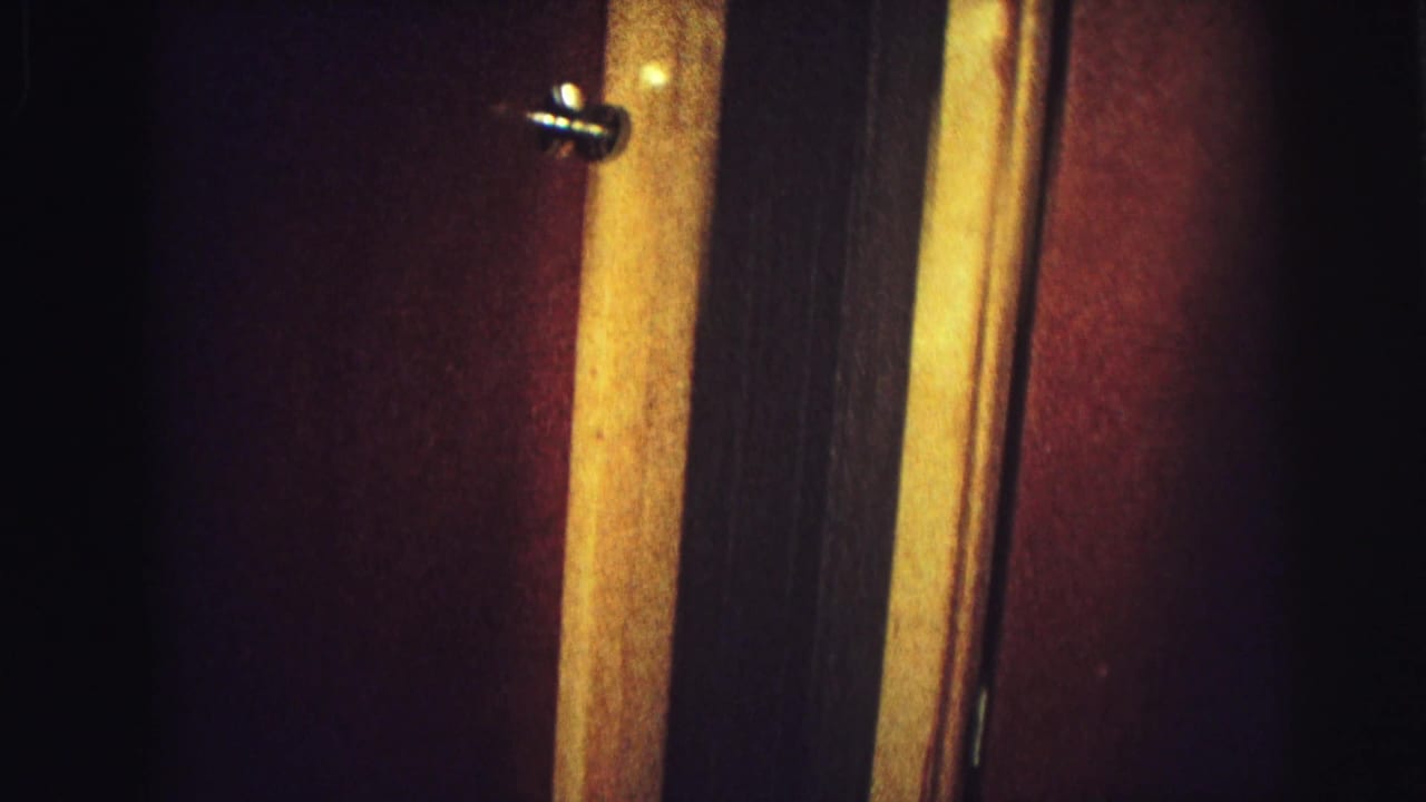 Warm, dark view of wood-paneled doors or cabinets with small metal pulls.