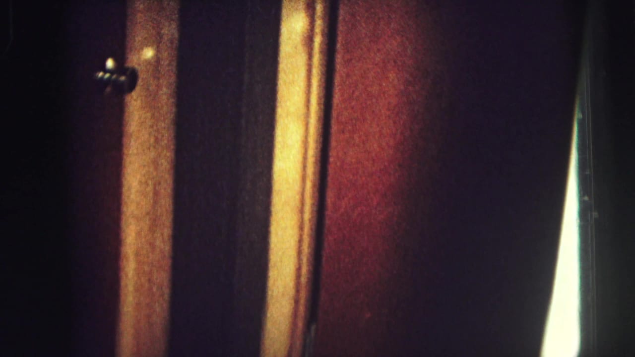 Close view of dark wood panels with warm vertical trim and small metal pulls.