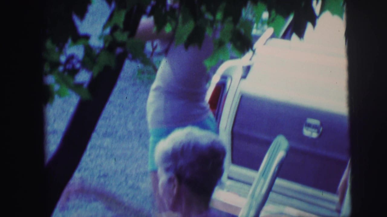 Seated woman and standing adults are partly framed by trees beside the rear of a station wagon.