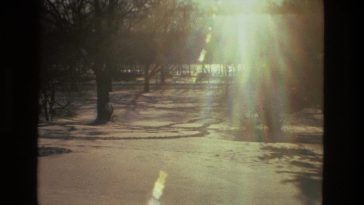 1970s 8mm home-movie frame of snow-covered woodland floor, bare trees, long shadows, and bright sun flare.