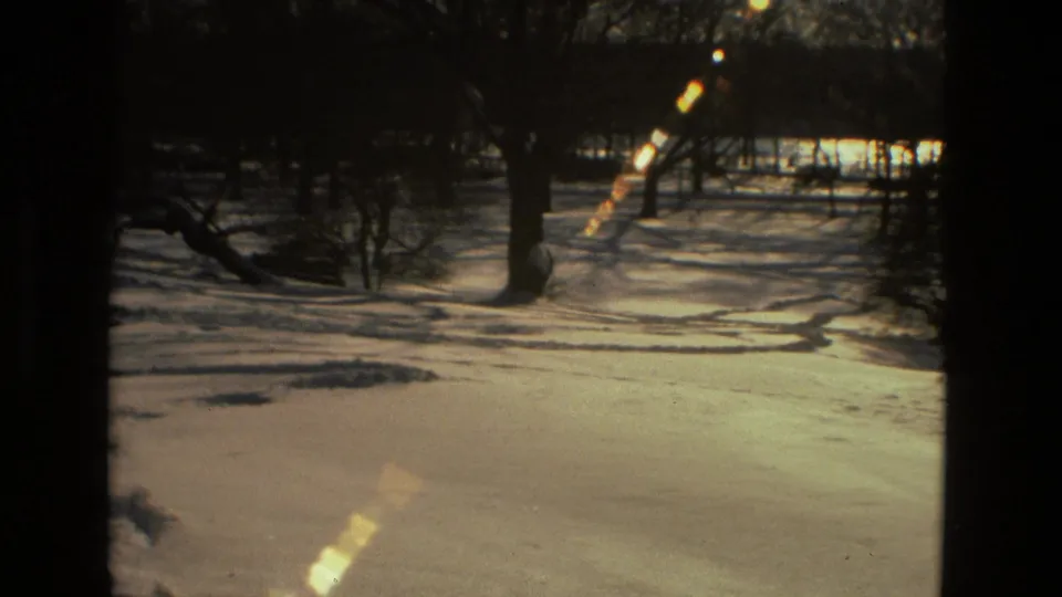 Snow-covered wooded area with bare trunks, low winter light, lens flare, and dark tree shadows across the ground.