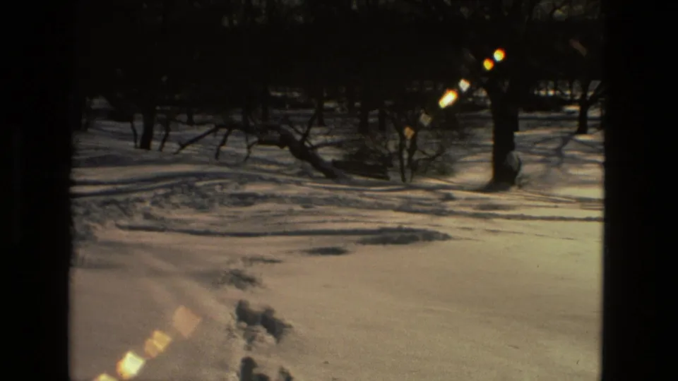 Handheld 8mm frame of snow beneath bare trees, with visible tracks, deep shadows, and warm diagonal flare.
