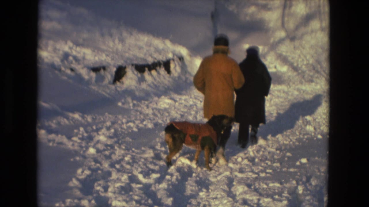 Two bundled figures walk through a snowy park with a dog wearing a red sweater, seen in warm 8mm home-movie color.