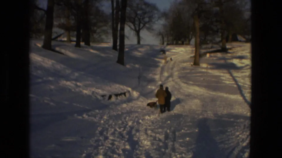 A broad 8mm view of a snow-covered park shows two figures and a dog near the foreground, with bare trees and tracks in the snow.