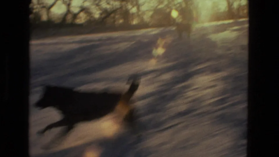 The dog crosses the snowy frame in motion blur, with low sun and warm 8mm exposure giving the moment a home-movie feel.