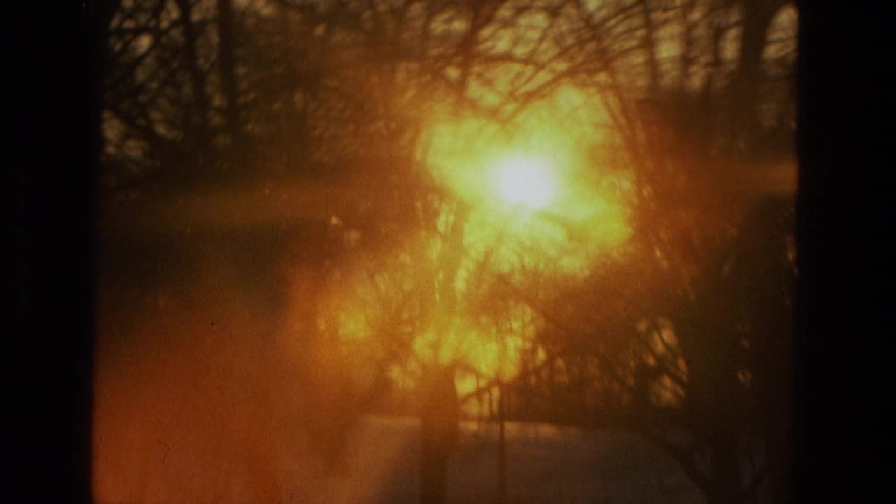 Bright sun flare behind bare branches with snow below.