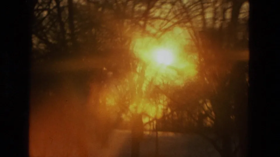A close, flare-heavy 8mm view of the sun glowing through leafless branches in a snowy winter setting.