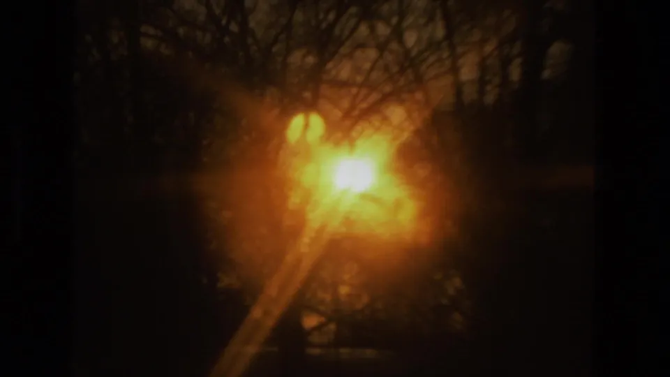 Warm low sun blooms through silhouetted winter branches, with visible grain and a darkened home-movie exposure.