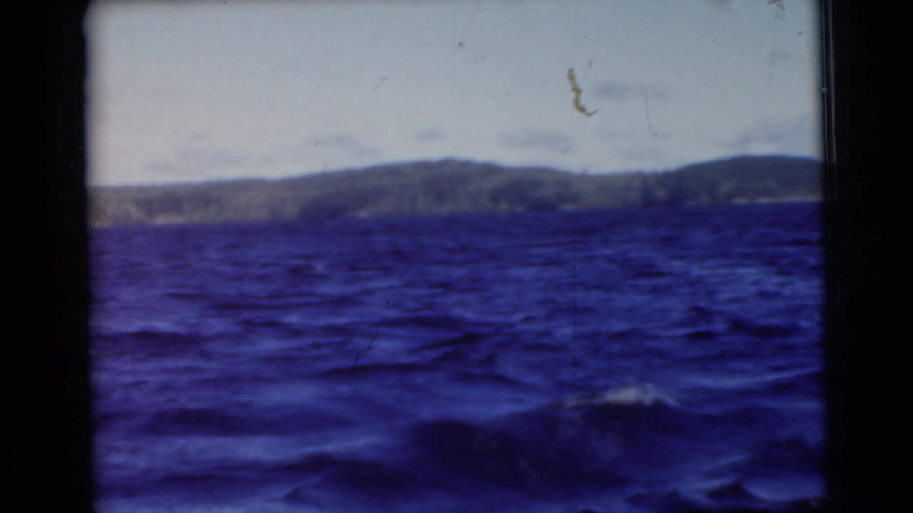 Open blue water with a distant low shoreline beneath a cloudy sky.