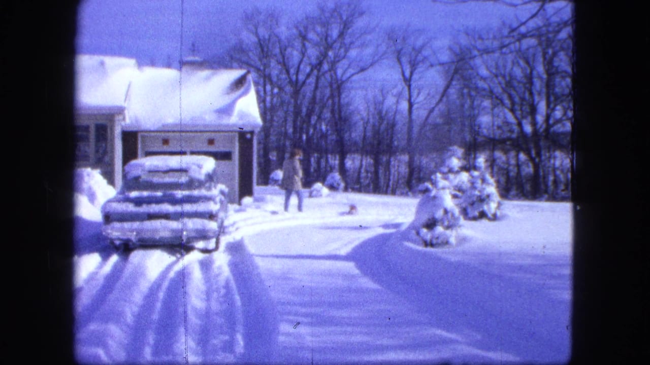 Person and small dog in a snowy yard beside a garage and snow-covered car.
