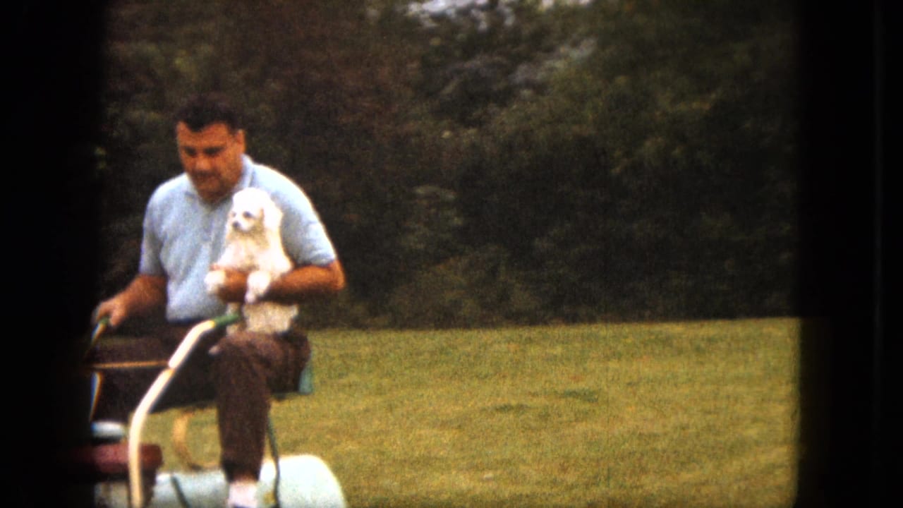 Man on a lawn mower holds a small white dog as he moves across the grass.