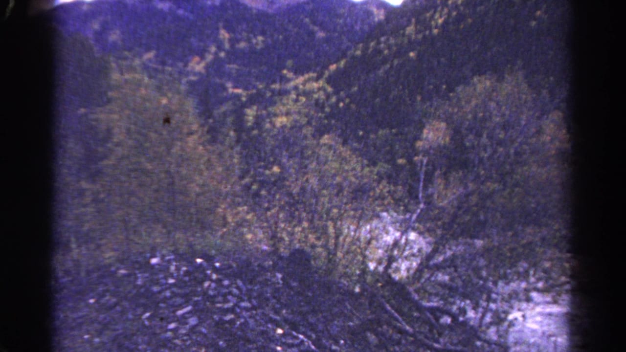 Mountain stream below forested slopes with autumn foliage and dark film-frame edges.