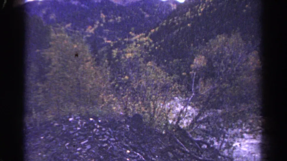 1967 8mm-style view of a rushing mountain stream seen from above, bordered by rocky ground, evergreens and autumn-colored trees.