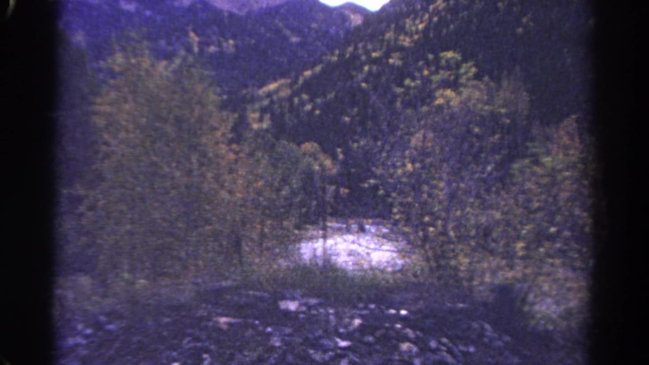 Bright stream curve beneath wooded mountain slopes with yellow-orange trees.