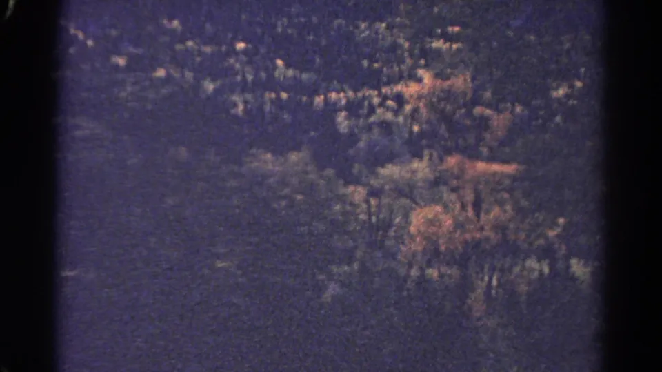 Soft, purple-tinted 8mm frame of a forested mountain slope with patches of orange autumn foliage and a faint stream or clearing below.