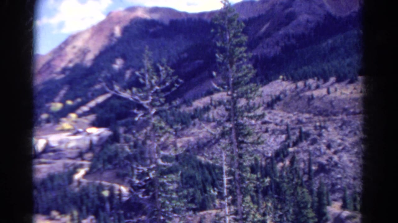 Tall evergreen tree centered against rocky slopes and a distant mountain ridge.