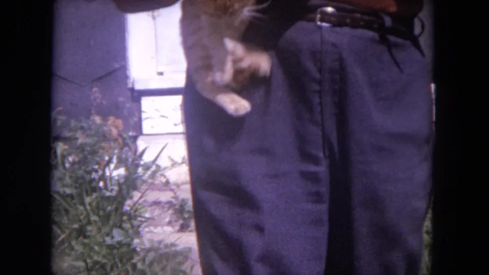1972 Chicago frame with an orange tabby cat held near a cropped adult figure, with house siding and foliage in the background.