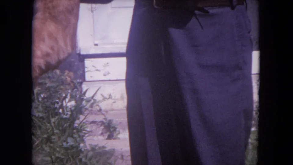 1972 Chicago frame showing the orange tabby partly cropped at left with the adult's dark trousers centered against house siding and greenery.