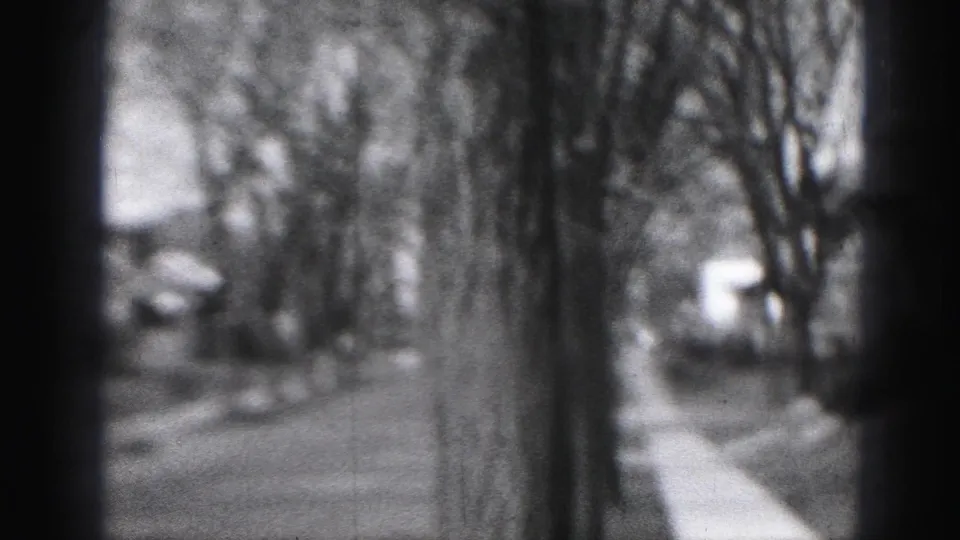 1946 Harrisburg frame with a tree trunk in the foreground, sidewalk, street edge, and residential houses beyond.
