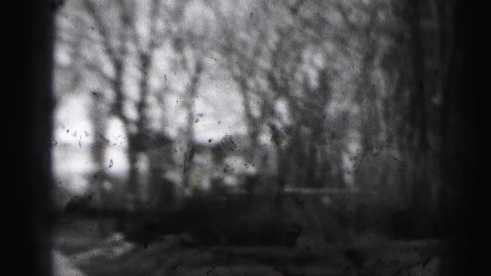 Soft black-and-white 8mm frame of a Harrisburg residential yard, bare trees, and a partly obscured house exterior.