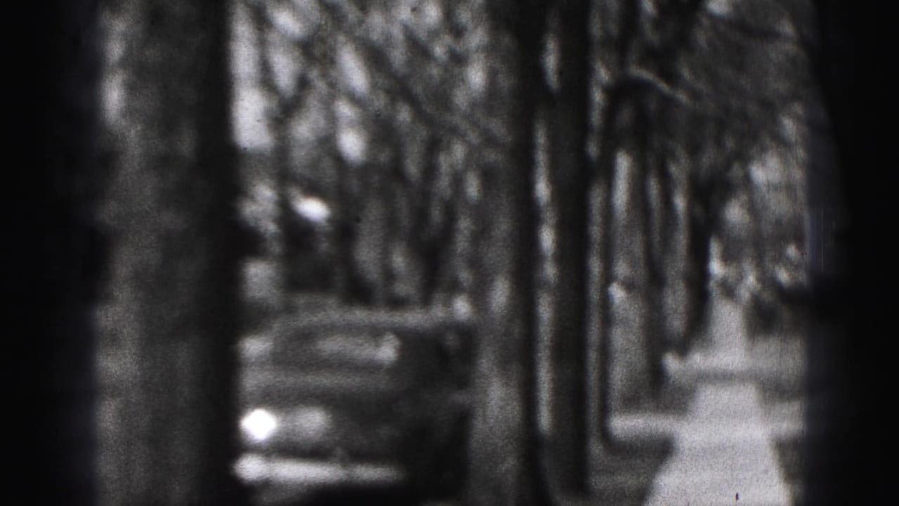 Parked automobile beside a tree-lined residential street.