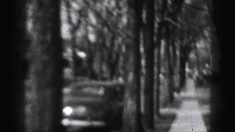 A vintage automobile is parked along a quiet 1946 Harrisburg street, partly obscured by tree trunks and film shadowing.
