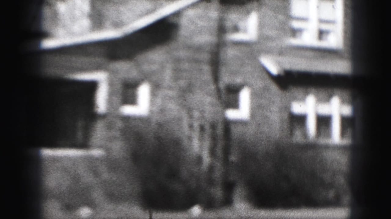 Soft black-and-white view of a brick house facade with windows and shrubs.