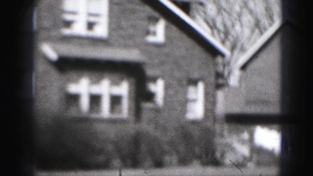 Brick residential building with multiple windows and bare shrubs in front.