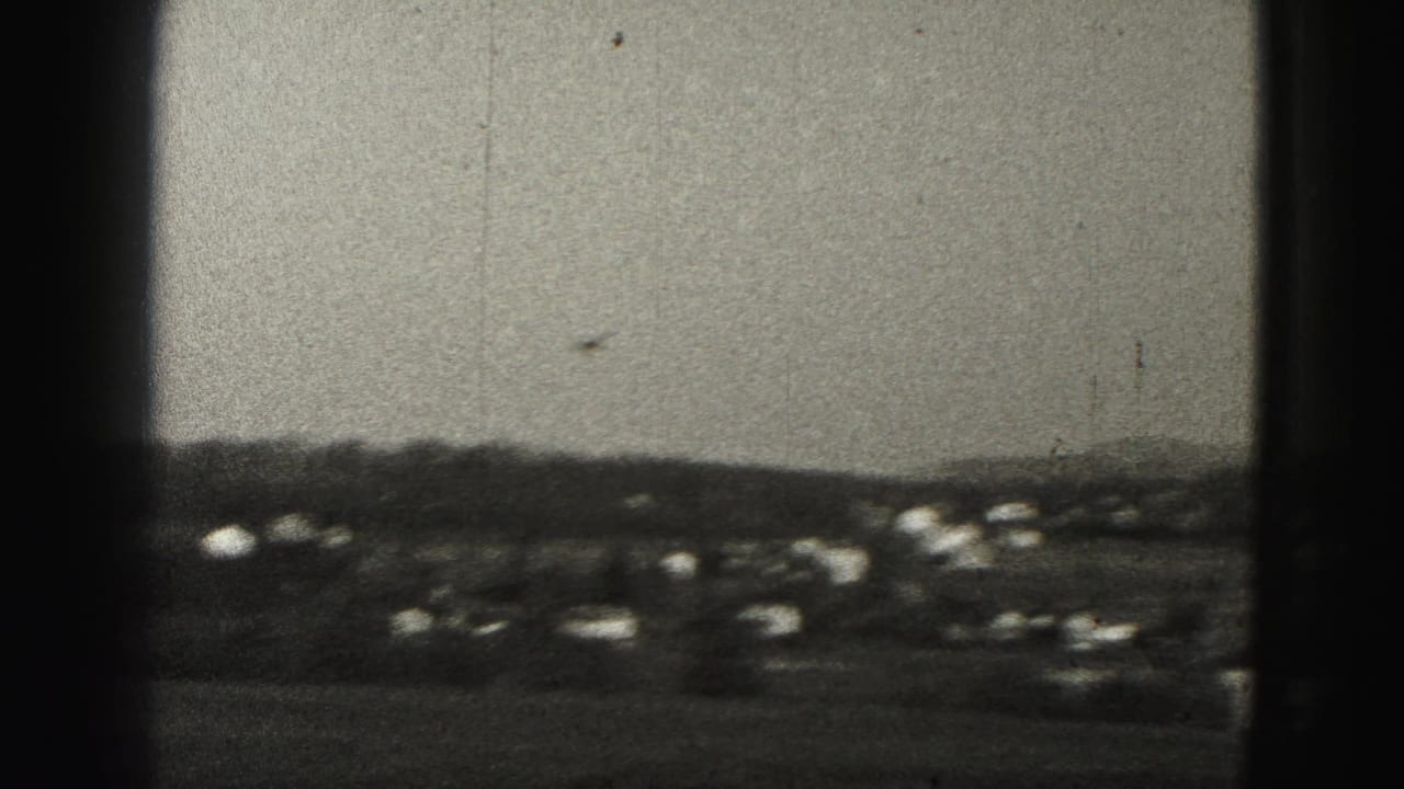 Small aircraft in hazy sky above a distant suburban hillside.