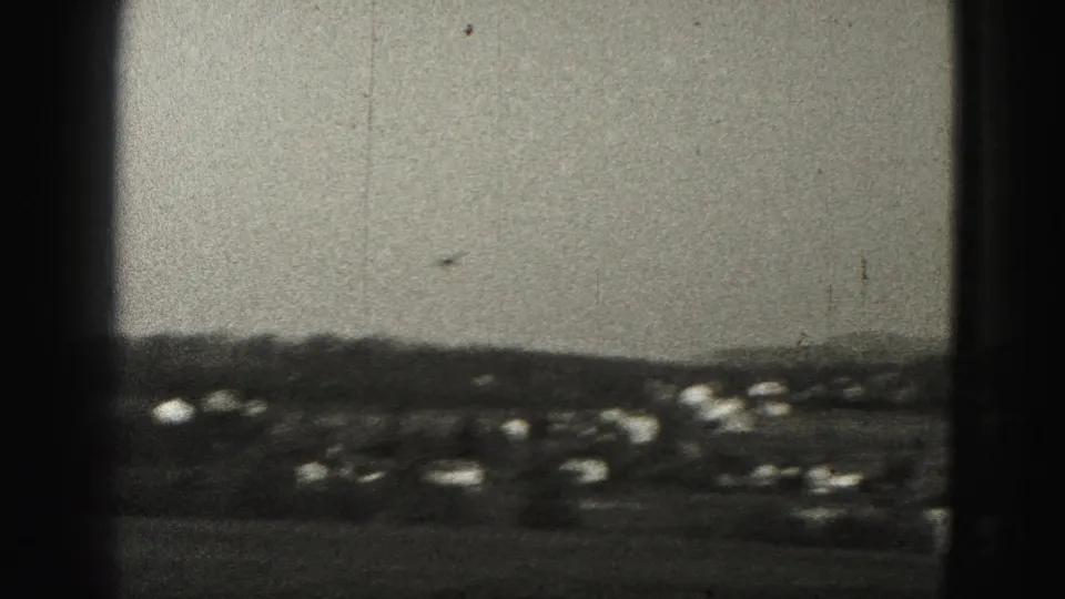 Small plane approaches over distant houses and trees in Harrisburg, Pennsylvania, 1946 home-movie footage.