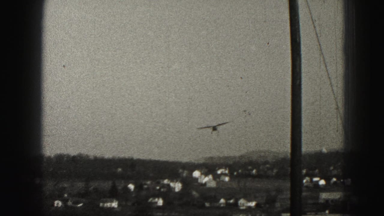 Small plane descends near a utility pole over distant houses.