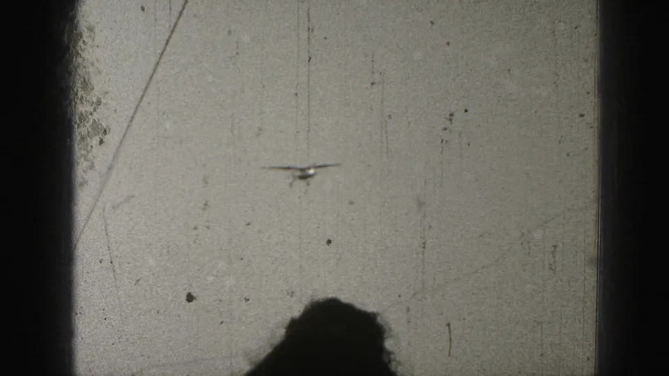 Distant small airplane appears in a pale sky, with dark frame bars and aged 8mm film texture visible.