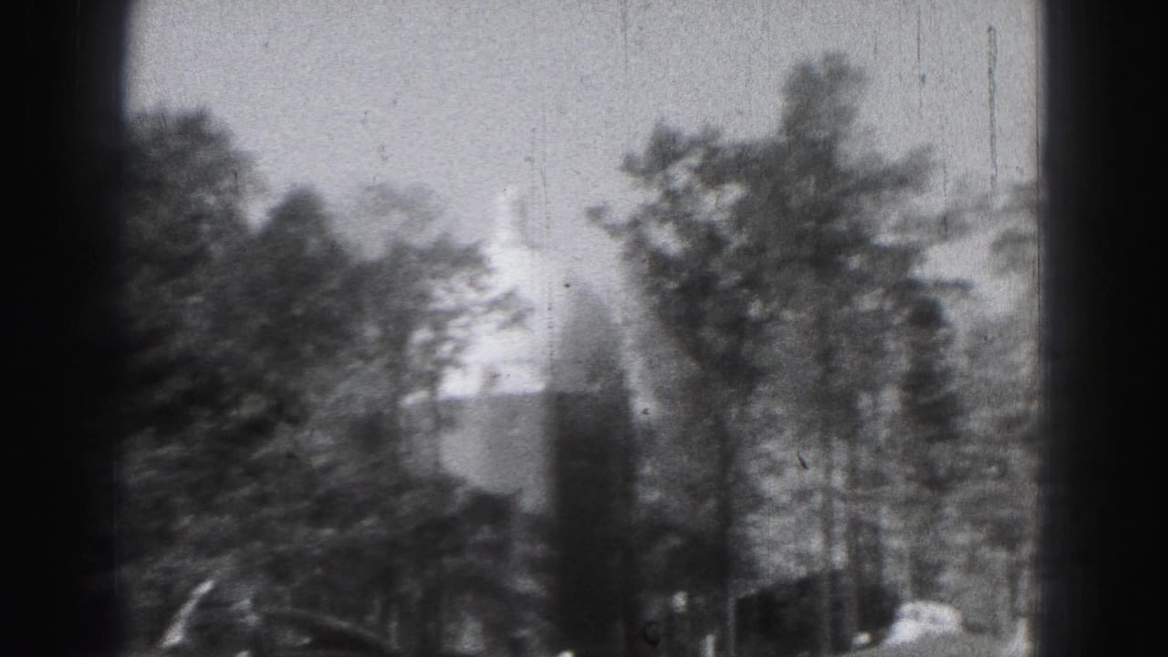 Soft black-and-white view of trees with a distant domed building behind them.