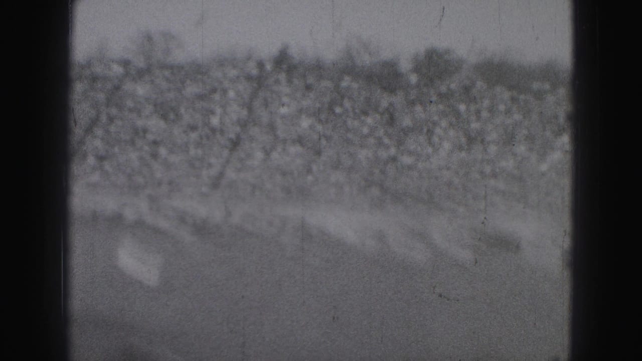 Blurred stadium crowd and field area seen through a dark film-frame divider.
