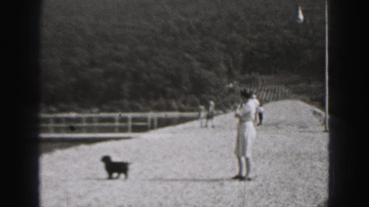 Woman in a light dress stands on a gravel path near a small dark puppy, with railing and trees behind her in New Cumberland.
