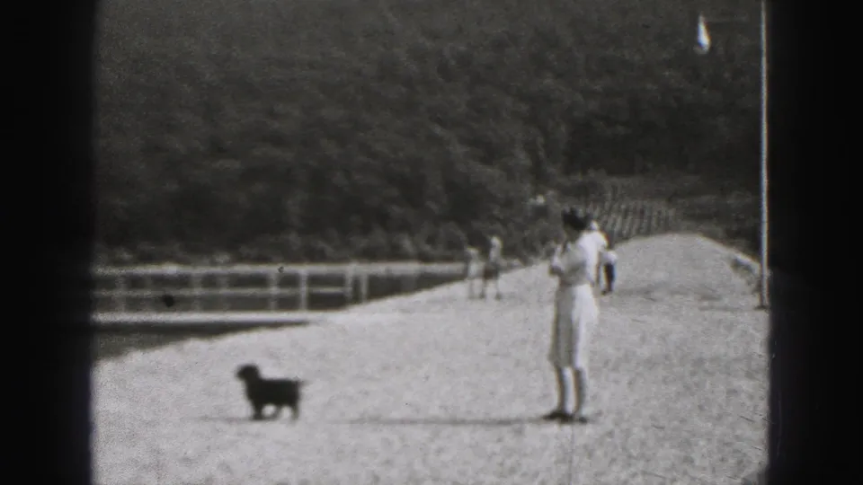 Woman in a light dress stands on a gravel path near a small dark puppy, with railing and trees behind her in New Cumberland.