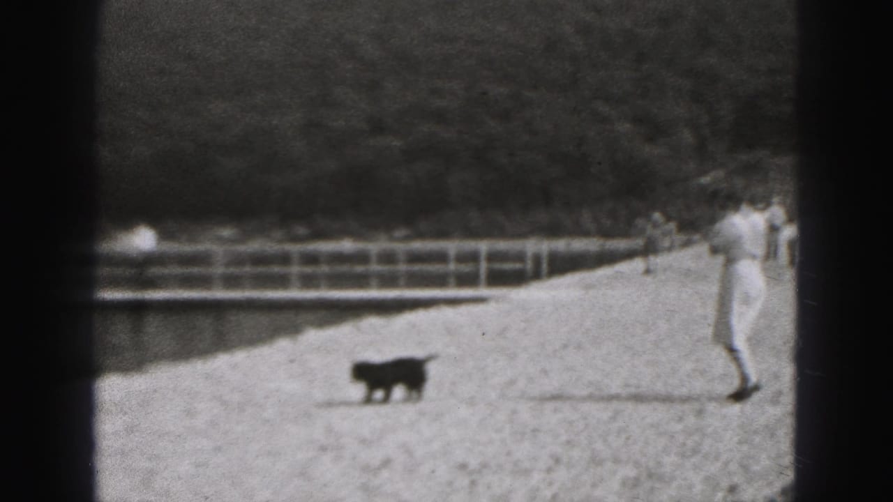 Small dark puppy crosses or stands on a gravel path as a woman in a light outfit remains at the right edge of the 1946 home-movie frame.