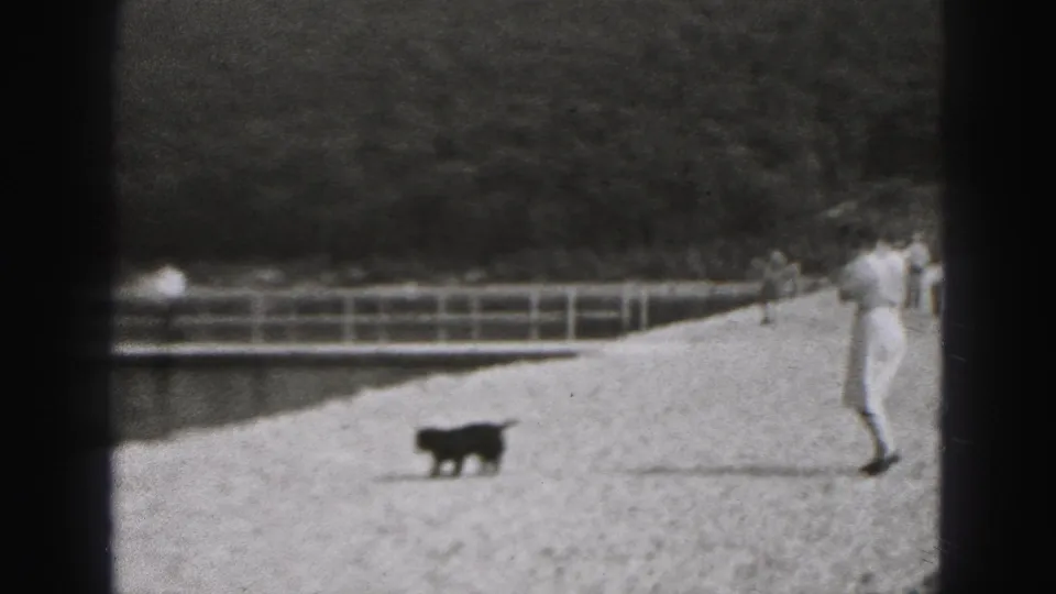 Small dark puppy crosses or stands on a gravel path as a woman in a light outfit remains at the right edge of the 1946 home-movie frame.