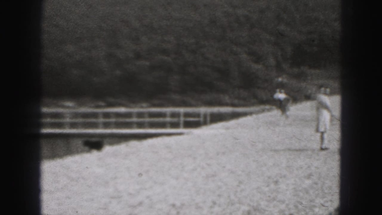 Distant people walking along a gravel riverside path beside a railing.