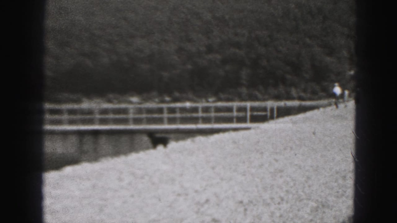 Riverside path in New Cumberland with railing, wooded bank, distant walker, and a dark dog near the water.