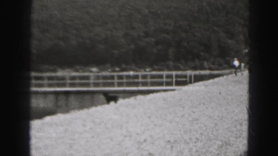 Riverside path in New Cumberland with railing, wooded bank, distant walker, and a dark dog near the water.