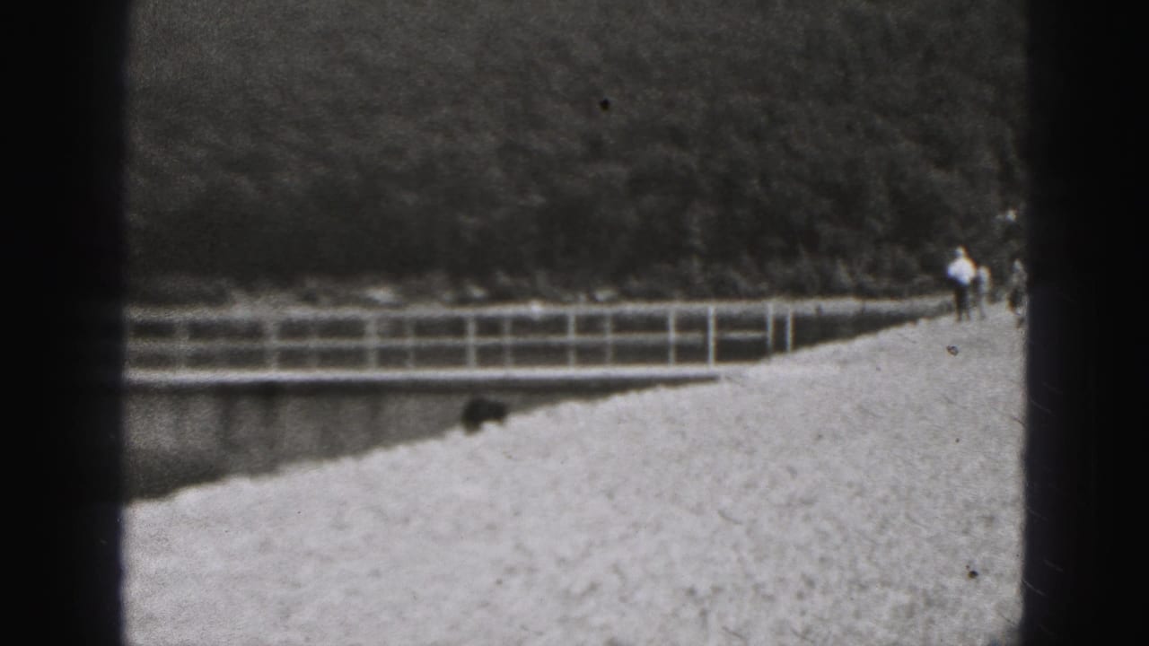 1946 New Cumberland home-movie frame showing a gravel levee path, railing, small dog, and distant pedestrians against a wooded slope.
