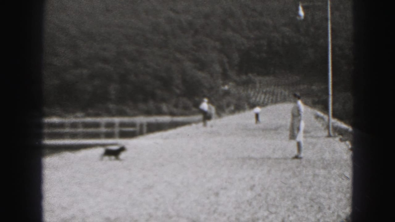 1946 New Cumberland frame with a dog on the gravel levee path, a woman near a light pole, and pedestrians farther back.