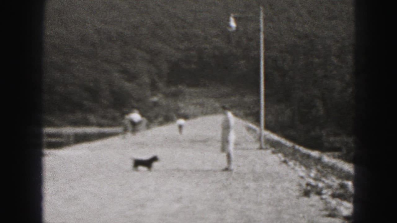 1946 New Cumberland home-movie view of a small dog approaching a woman on a gravel levee walkway near a railing and wooded hill.
