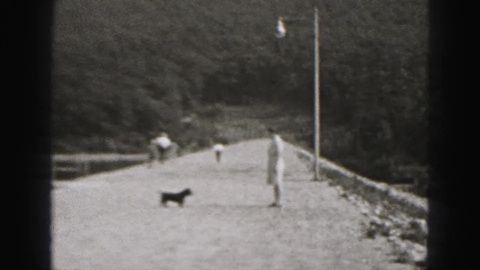 1946 New Cumberland home-movie view of a small dog approaching a woman on a gravel levee walkway near a railing and wooded hill.