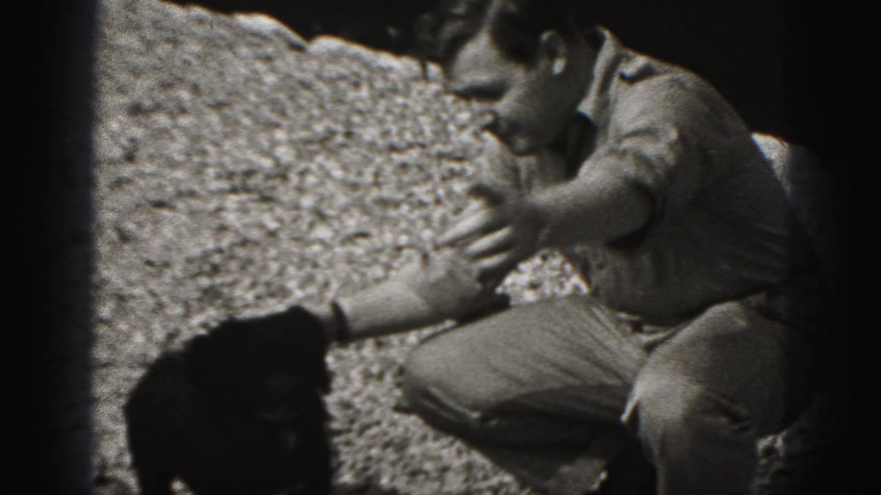 Crouching man reaches to touch or guide the black puppy on a gravel yard in New Cumberland, Pennsylvania.