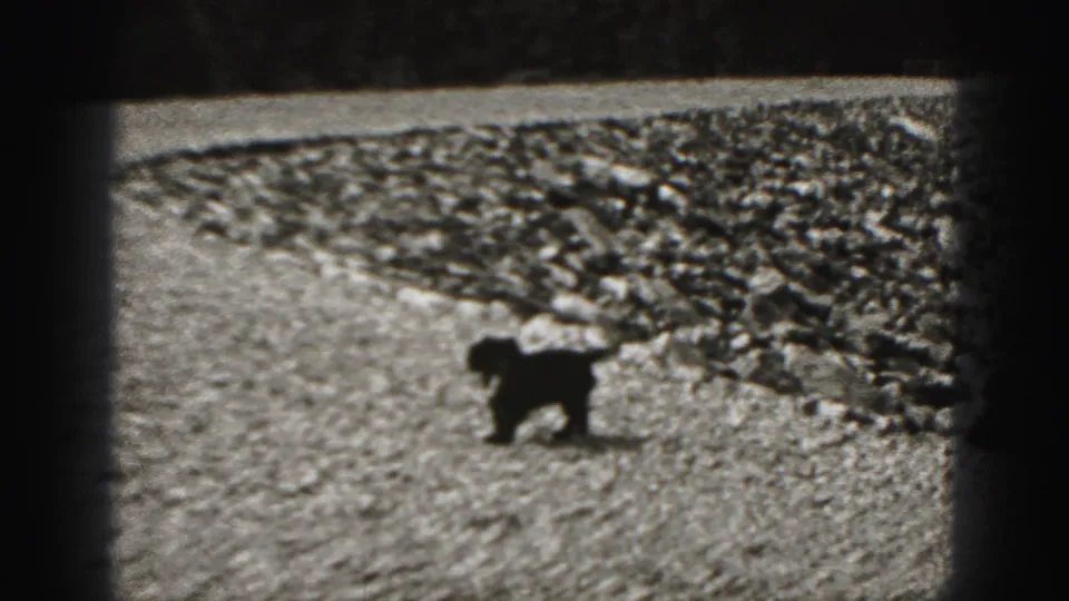 Small dog moves across an open gravel area in 1946 black-and-white home-movie footage.