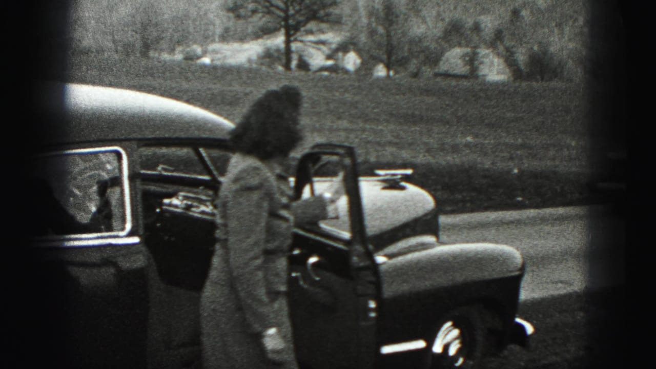 The suited woman faces the open sedan door, with the car body filling the foreground and a grassy landscape behind.