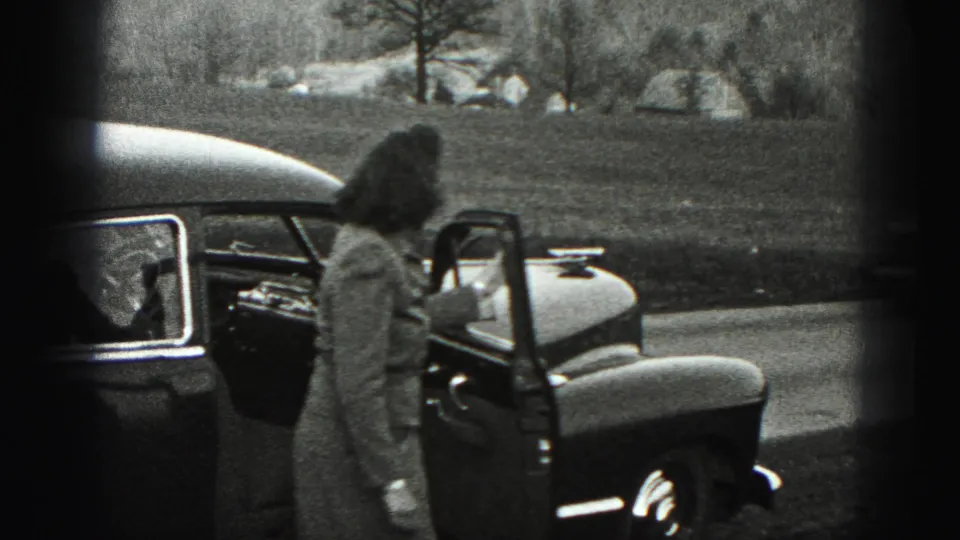 The suited woman faces the open sedan door, with the car body filling the foreground and a grassy landscape behind.