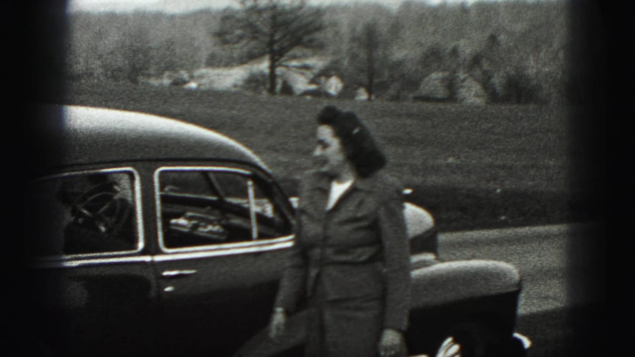 The woman turns away from the camera beside the car, with open grass, trees, and distant structures behind her in New Cumberland.